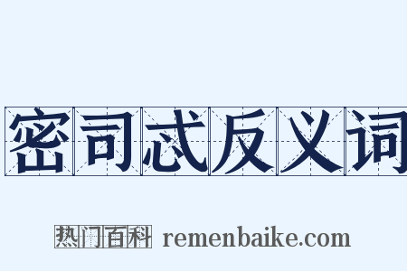 密司忒反义词是什么意思的图片